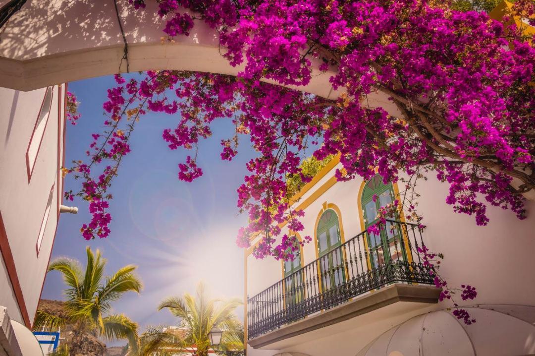 20 Metres From The Sea In Puerto De Mogan Apartment Exterior photo